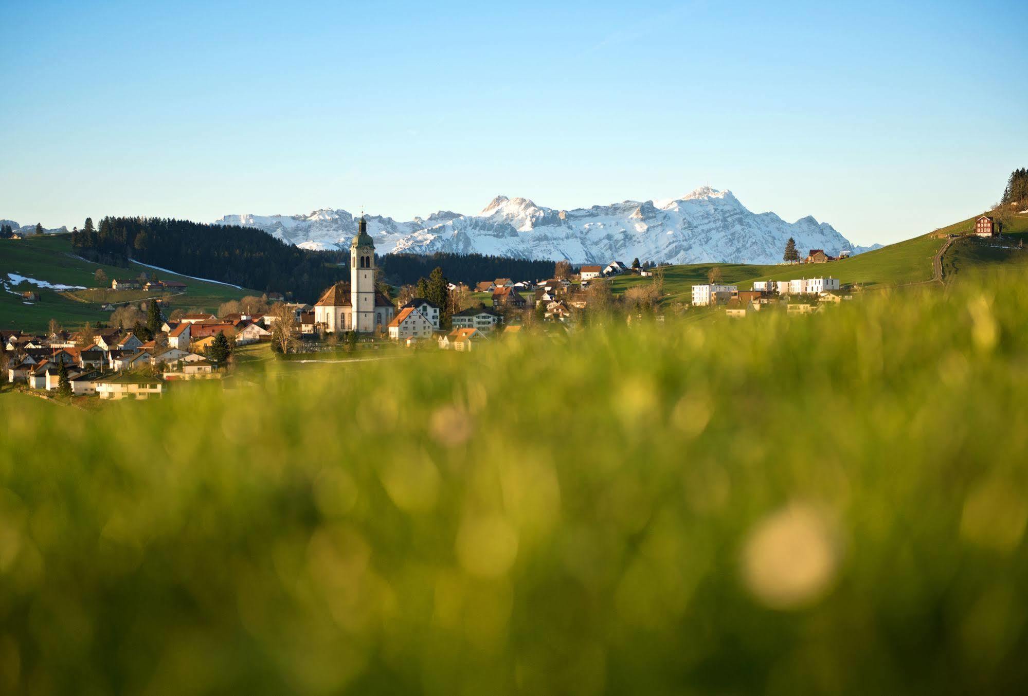 Hotel Krone Boutique-hotel 4*